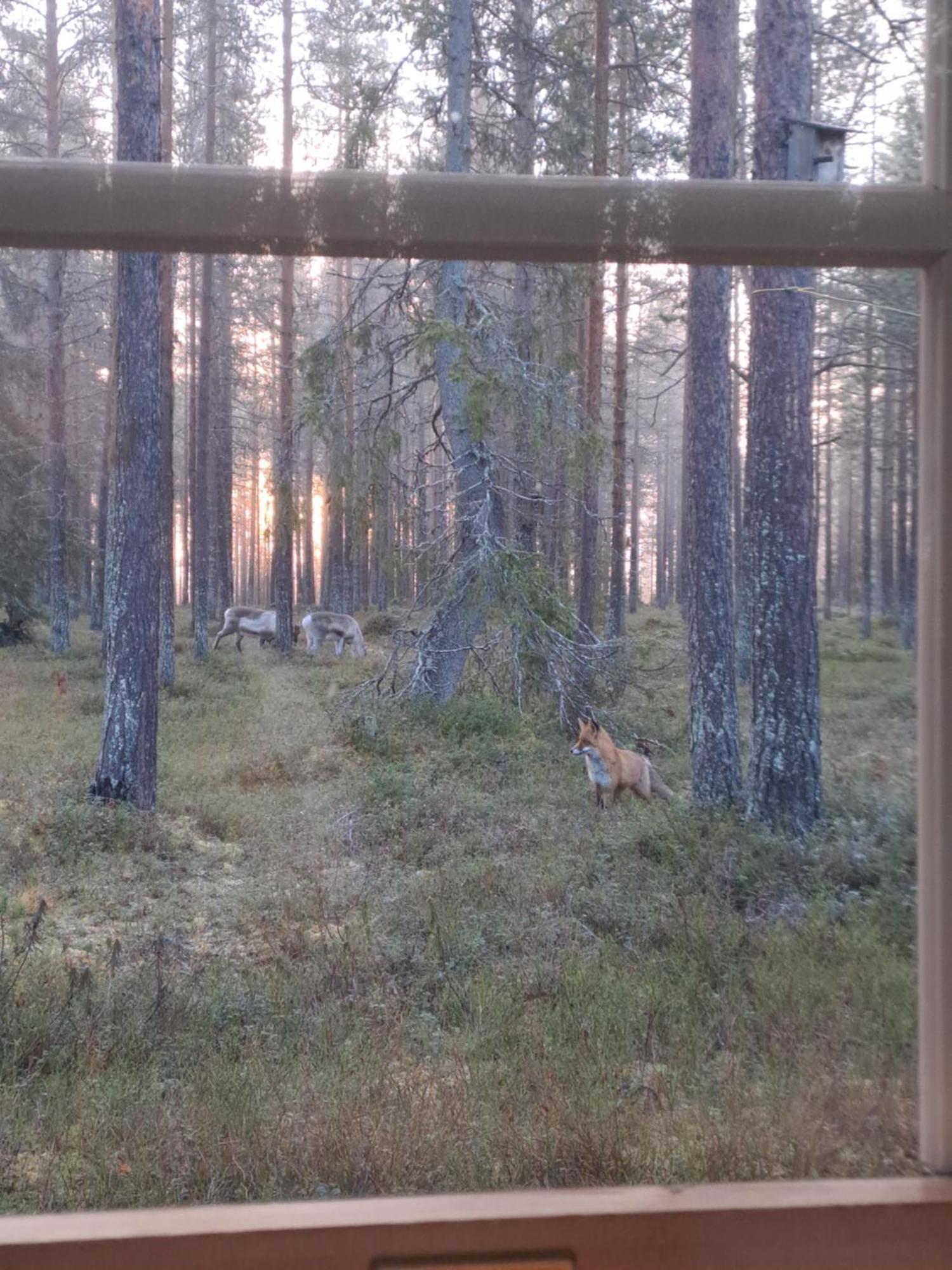 Yllaes Nilimaja Lägenhet Ylläsjärvi Exteriör bild